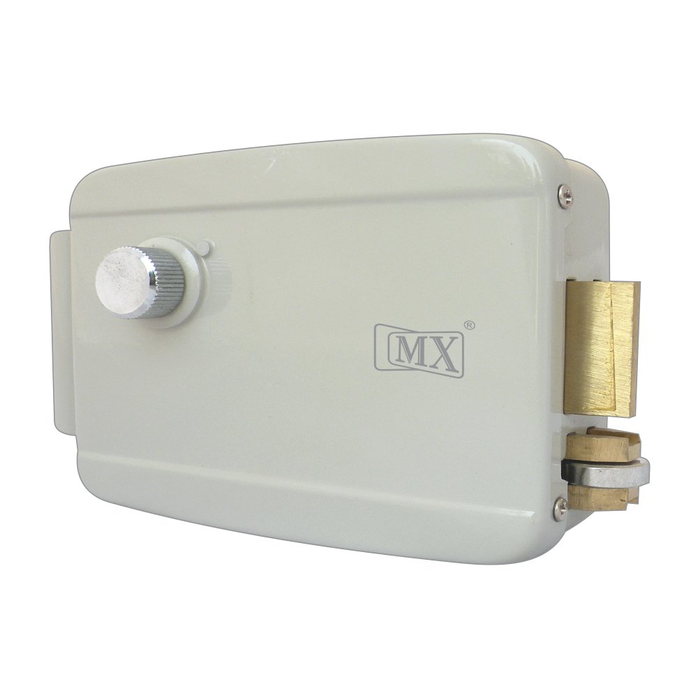 Stainless Steel Electronic Door Lock with Biometric Support